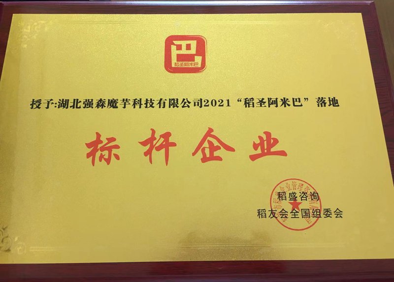 网站首页