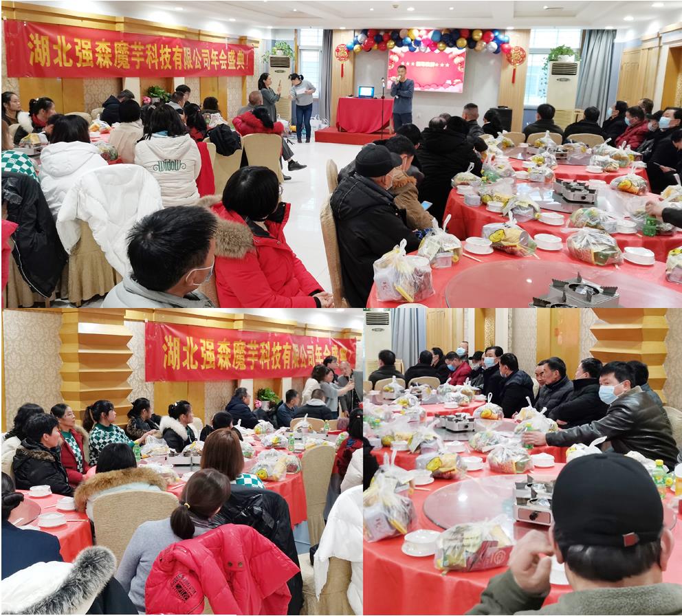 桃子汉化组移植500款黄油电脑游戏怎么玩